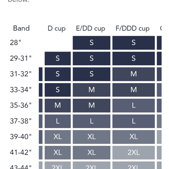 Evelyn Bra Medium NWT By Evelyn & Bobbie - Picture 5 of 5